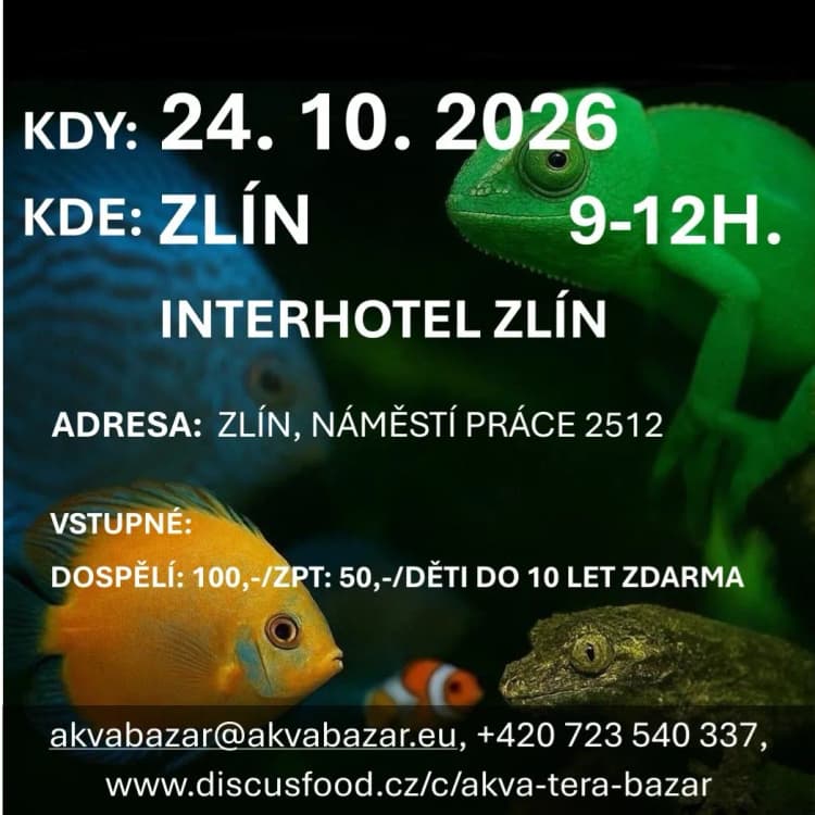 Event image Akva Tera Bazar Zlín